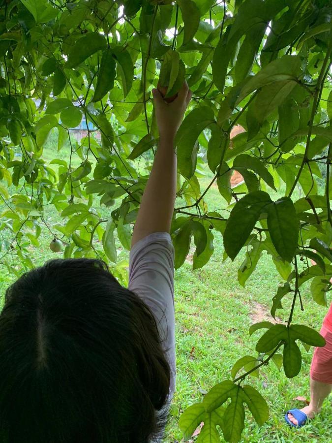 Pai Bjooc Homestay Tuyen Quang Екстер'єр фото