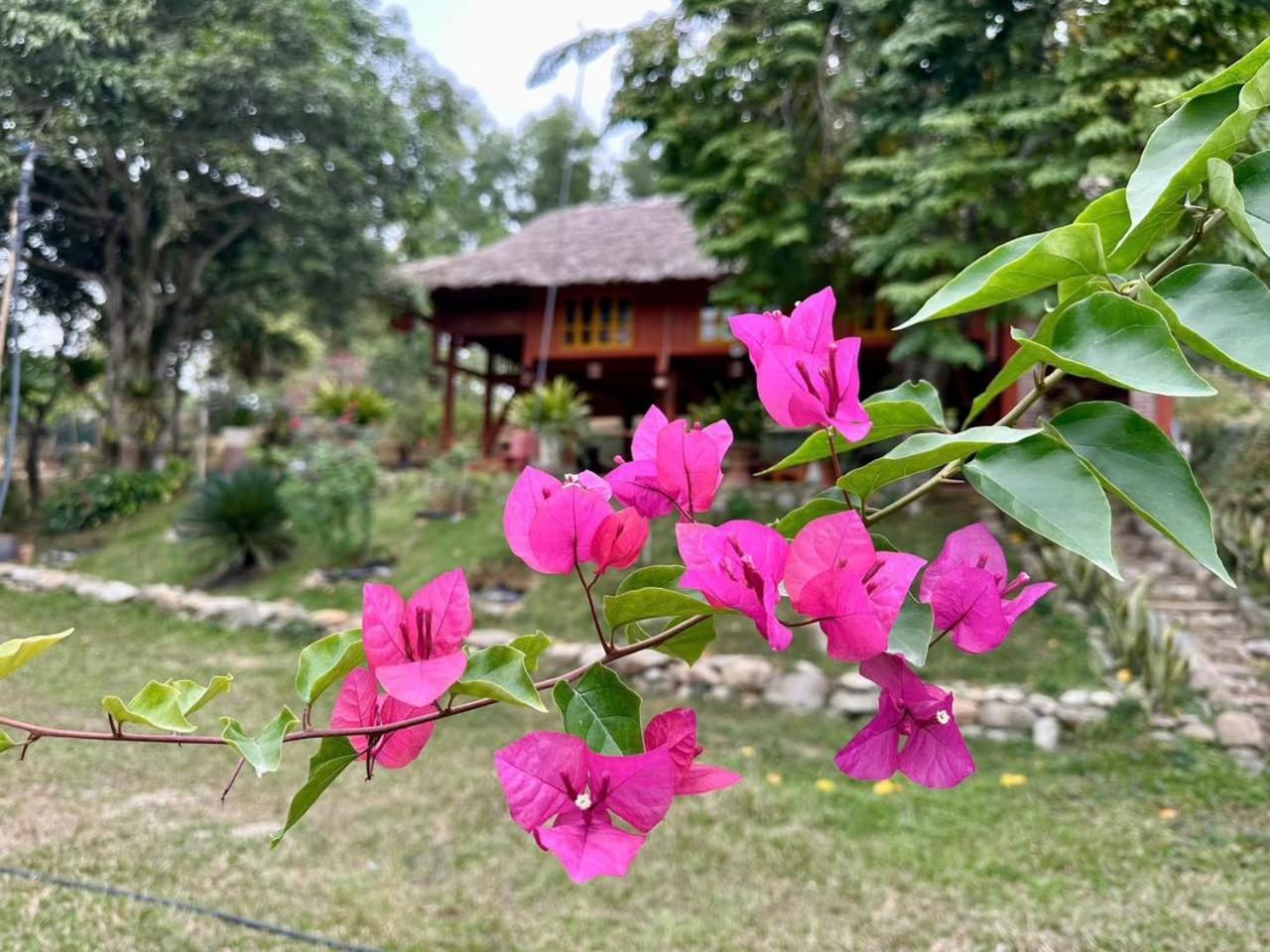 Pai Bjooc Homestay Tuyen Quang Екстер'єр фото